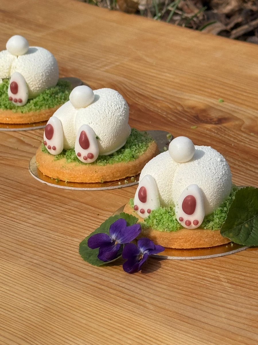 Zorka.budka tweet media