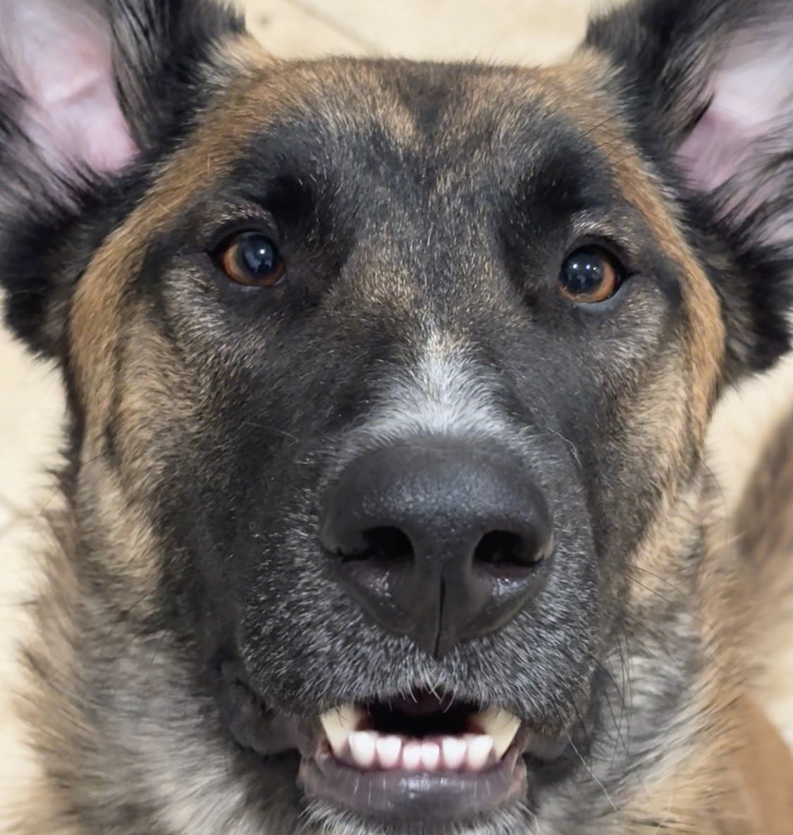 WeenyWaney tweet media