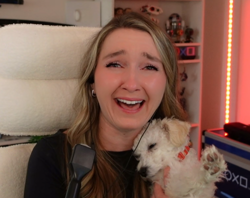 Miranda 🎮 tweet media