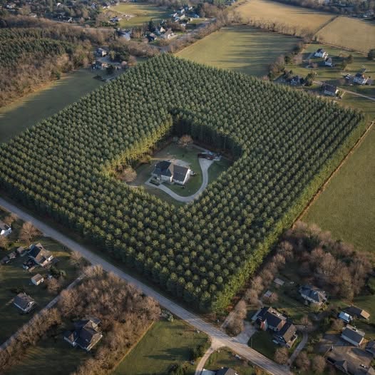 Tino Kunze tweet media