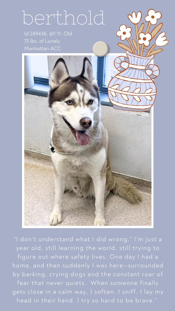 Not the Same tweet media