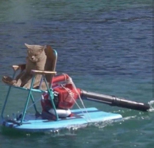 JetLagKitty tweet media