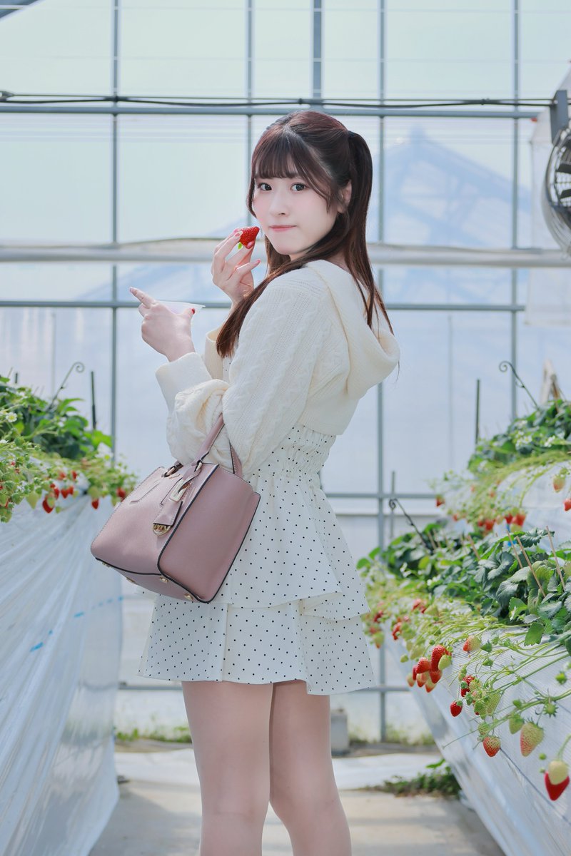 KFuna28's tweet image. おはようございます☀
『  苺狩り🍓  』
椎名ゆかさん
@yuka_shiina 

#椎名ゆか
#ガールズフォト 
#portrait
#可愛い 
#love #美少女 
#ぐっちゃんphoto 
#可愛いと思ったらいいね
#苺狩り 
#idol #fairydolls