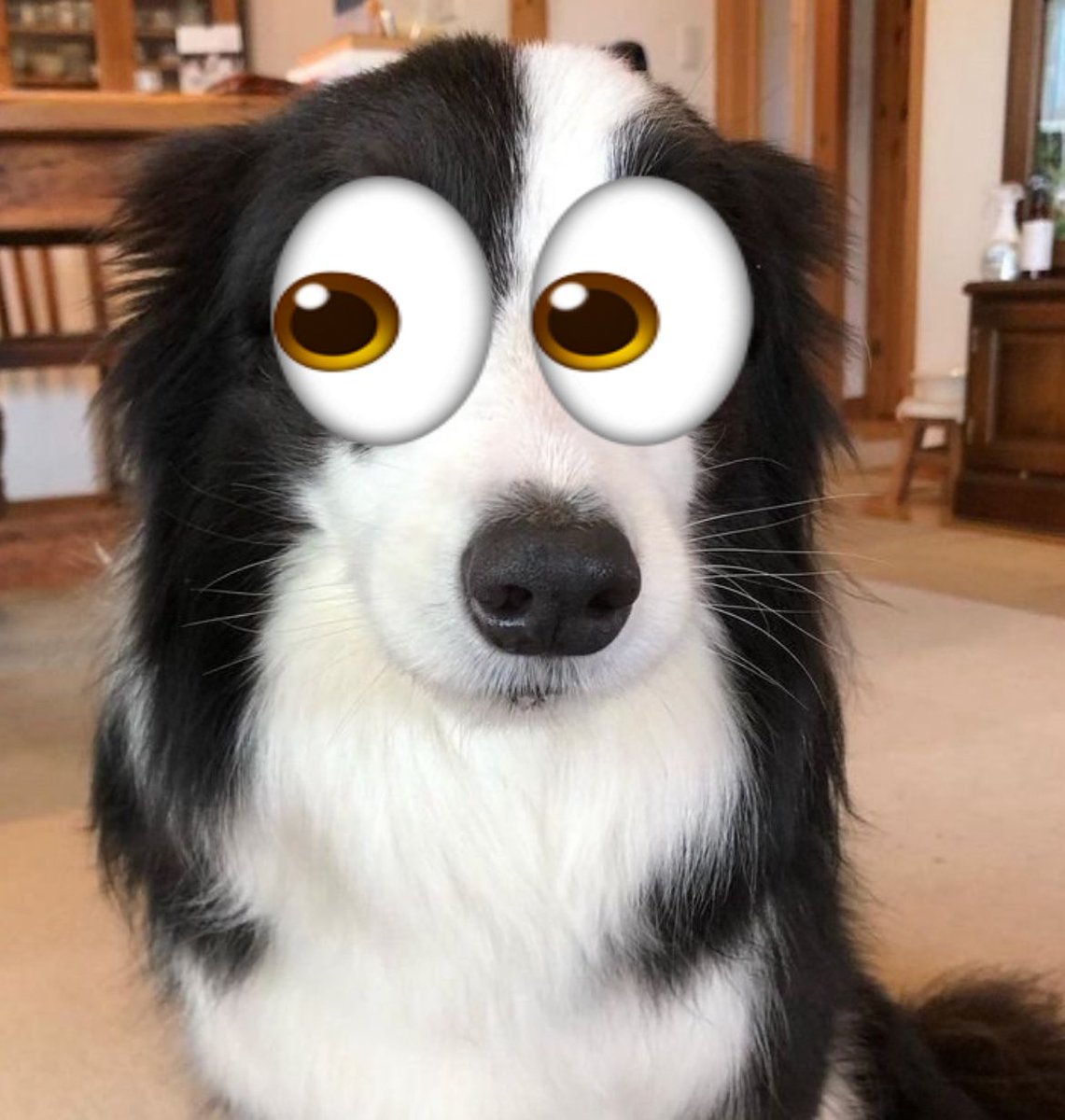 Sunny is Sizing on the side! tweet media