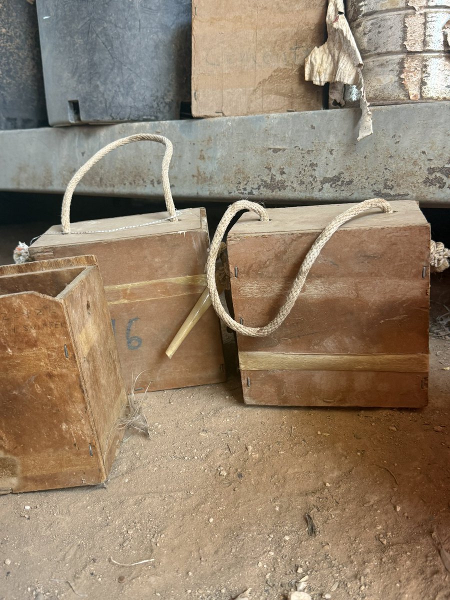 Spicy Canela tweet media