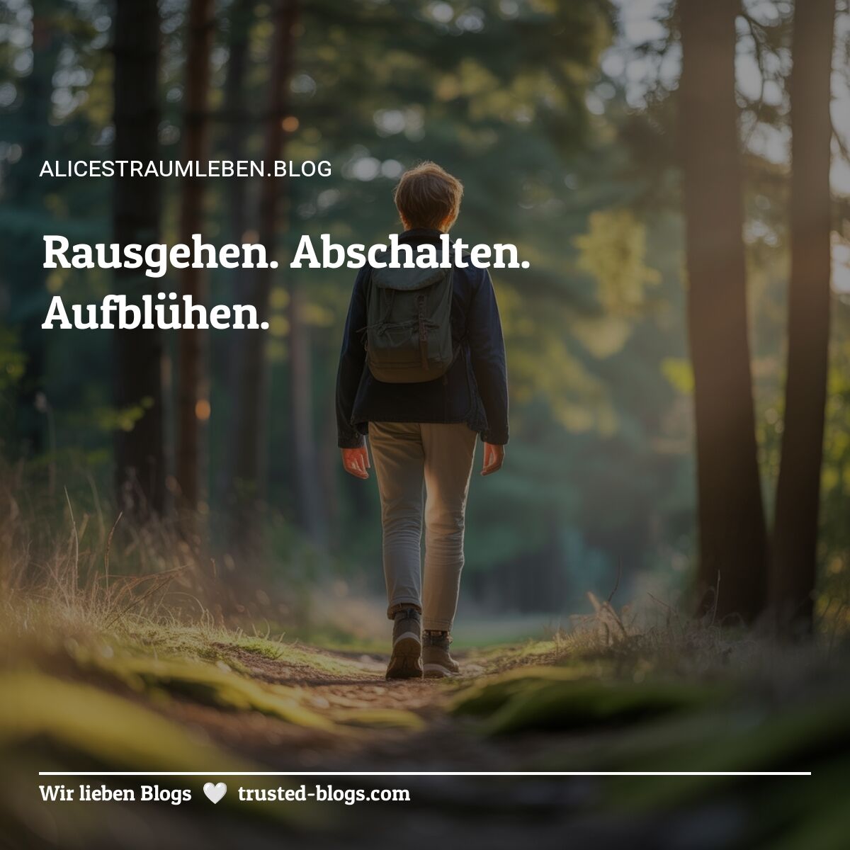 trusted blogs tweet media