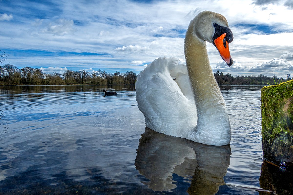 Ian Wright tweet media