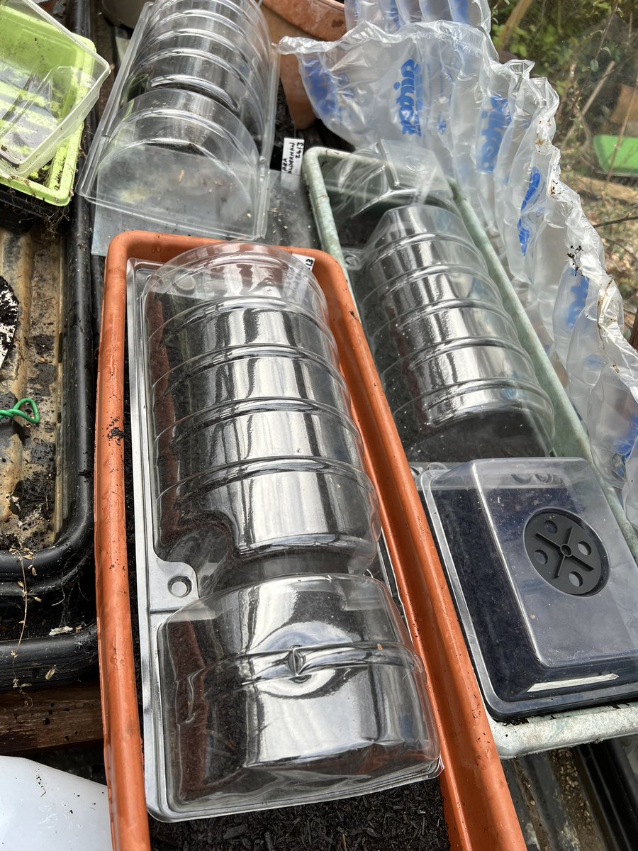 Sam Preston tweet media