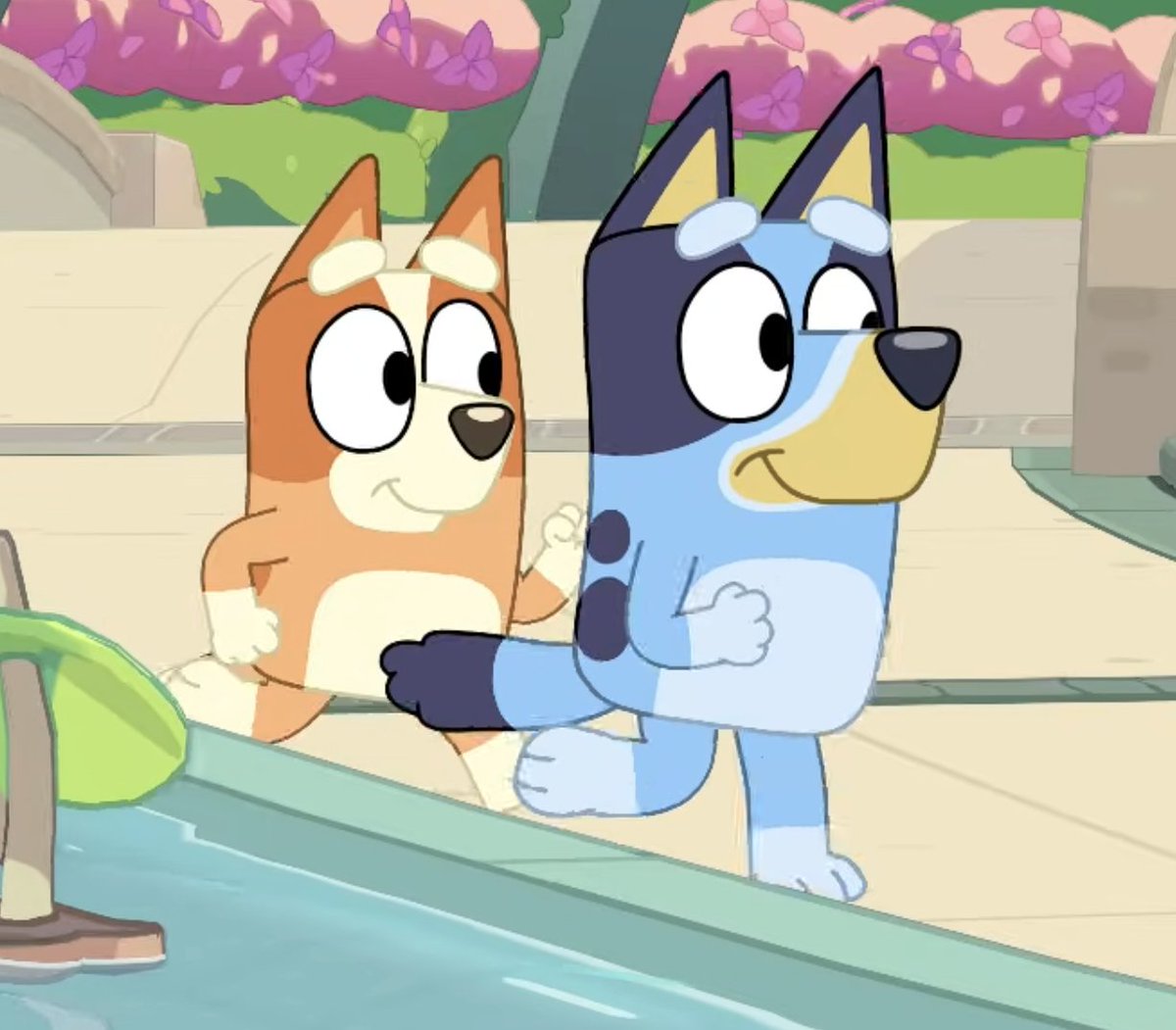 absolutely nothing (dm29dr.aws) tweet media