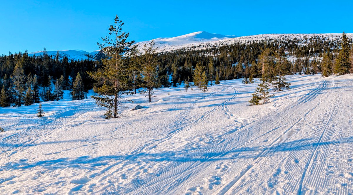 John O'Reilly tweet media