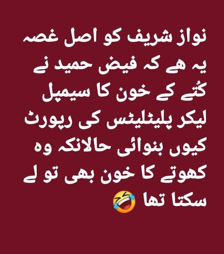 ⷶMαι∂αн Mυнαммα∂ tweet media