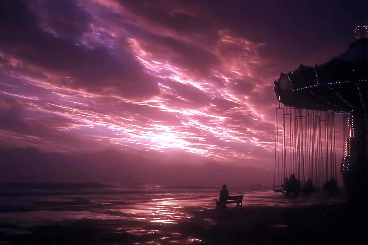 Samantha Collier tweet media