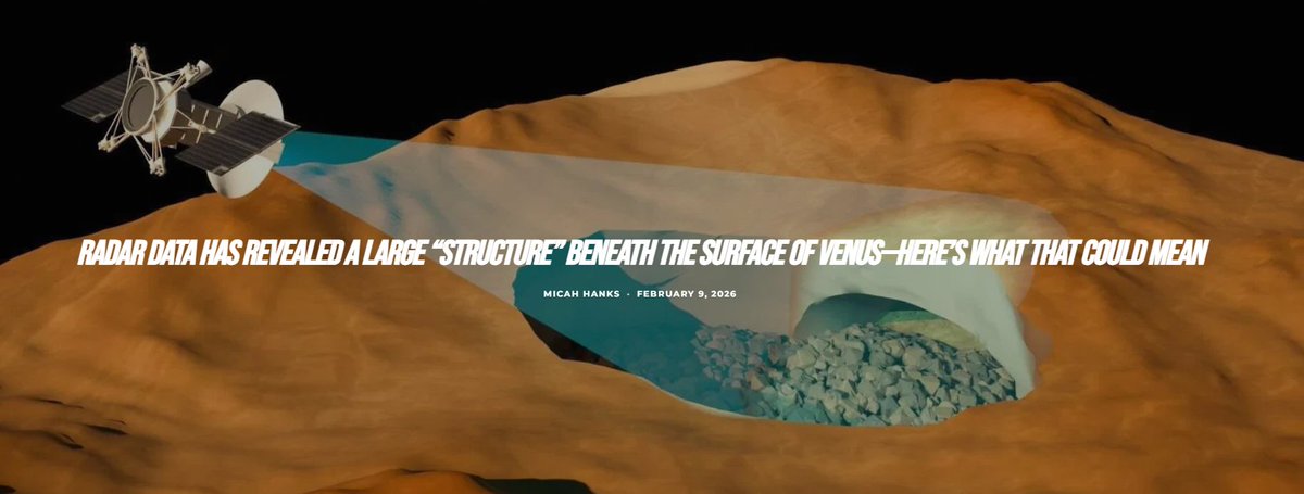 Pursuing X tweet media