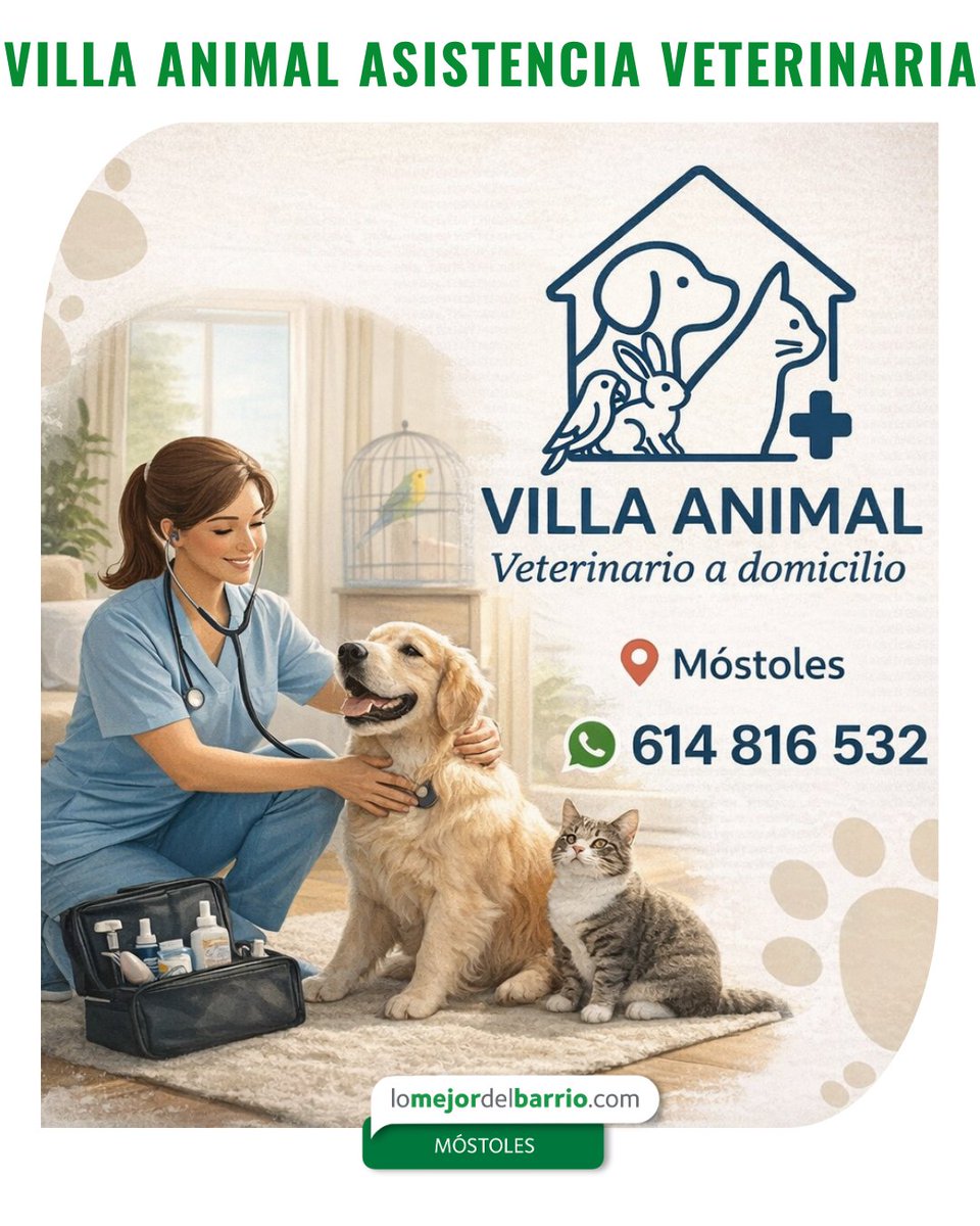 Lo Mejor De Móstoles tweet media