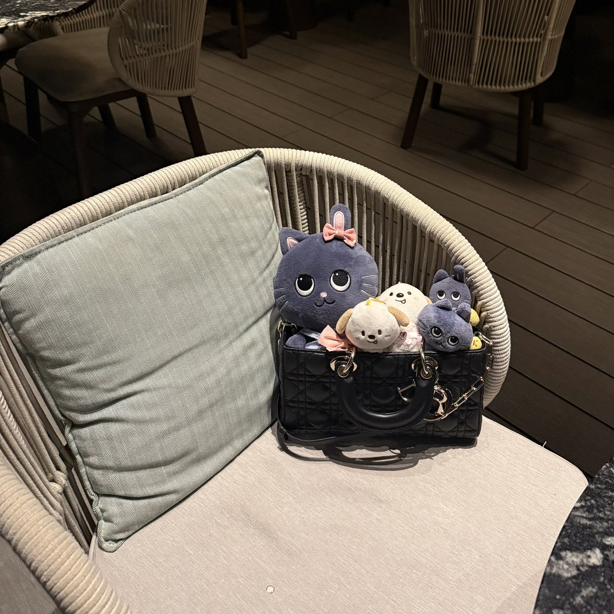 boojoo ♡ྀི𓈒 tweet media