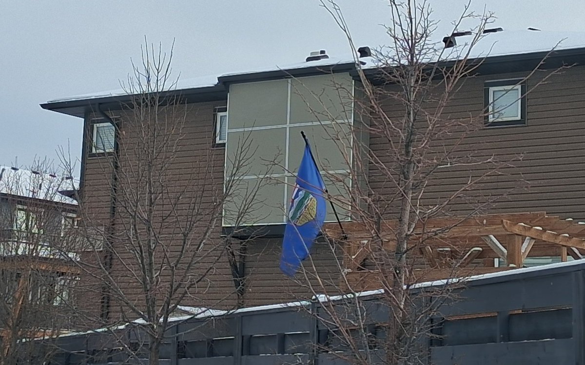 Cory Morgan tweet media