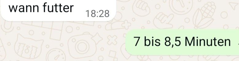 Lieselotte2604 tweet media