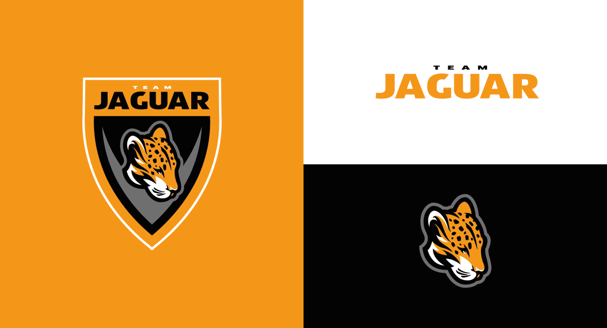 Kamisecta © 🔸 LOGO DESIGN tweet media