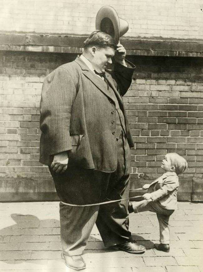 MarchaDaHistória tweet media