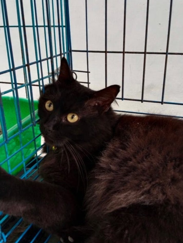 ody 🍒 tweet media