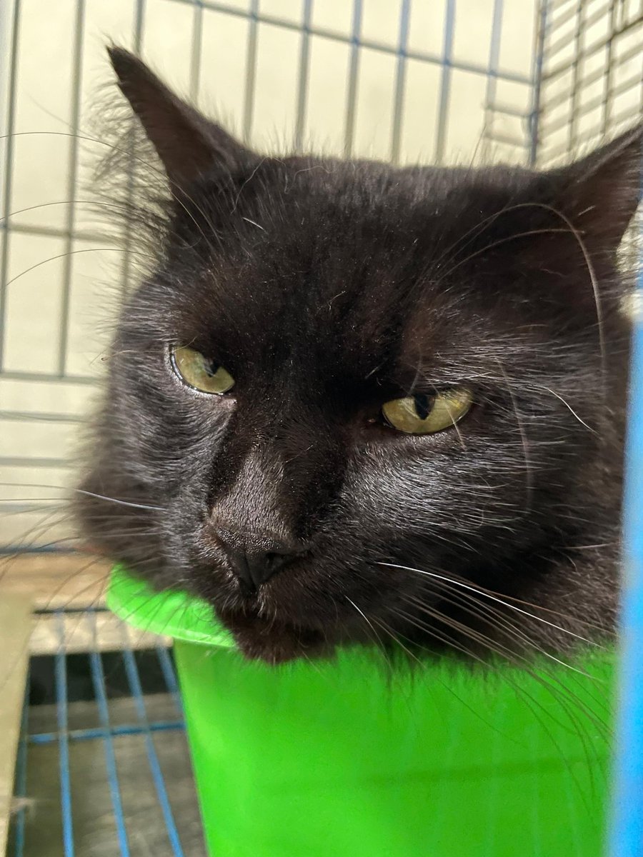 ody 🍒 tweet media