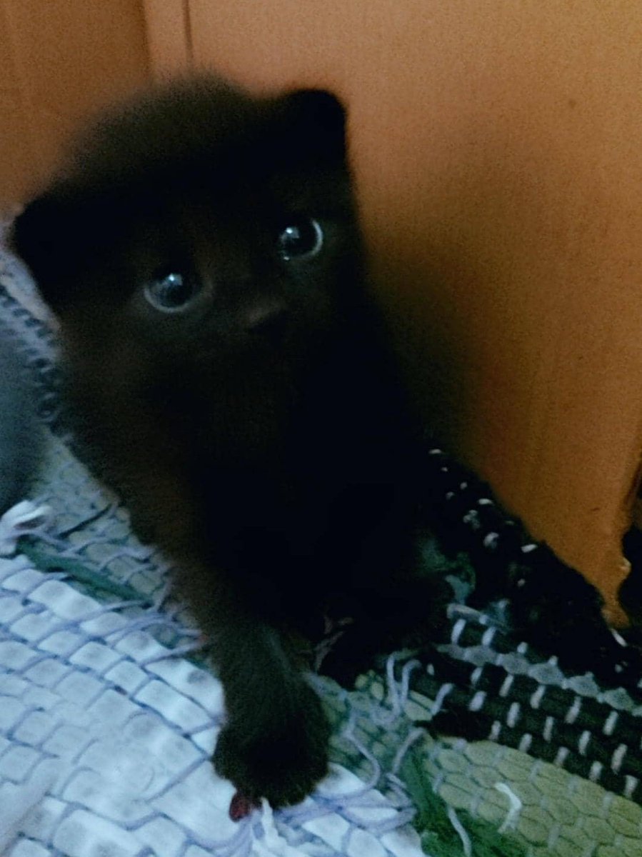 ody 🍒 tweet media