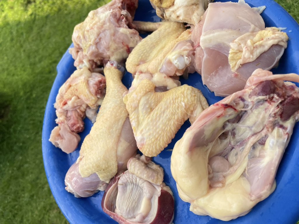 Mamachikoko🐓 tweet media