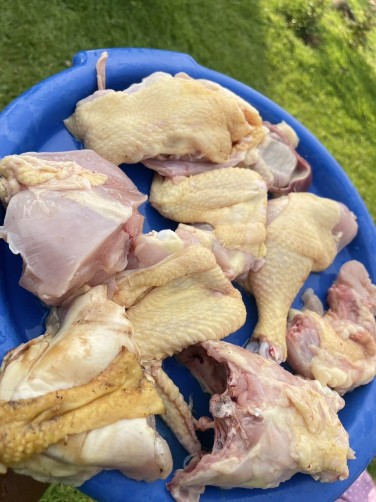 Mamachikoko🐓 tweet media