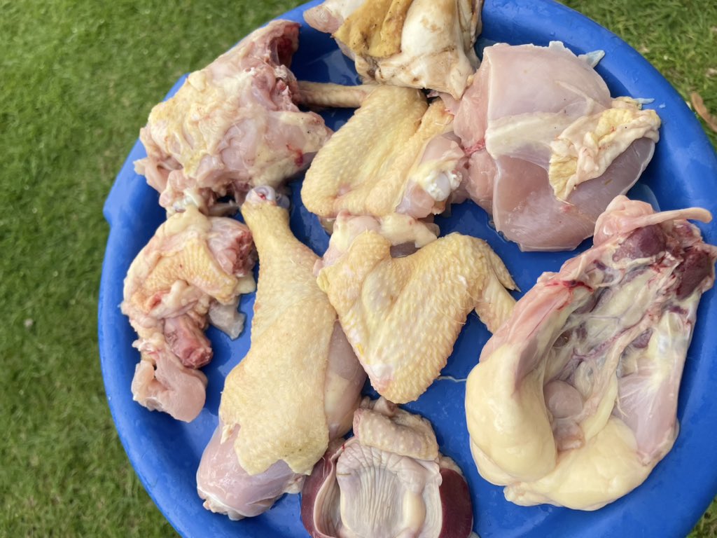 Mamachikoko🐓 tweet media