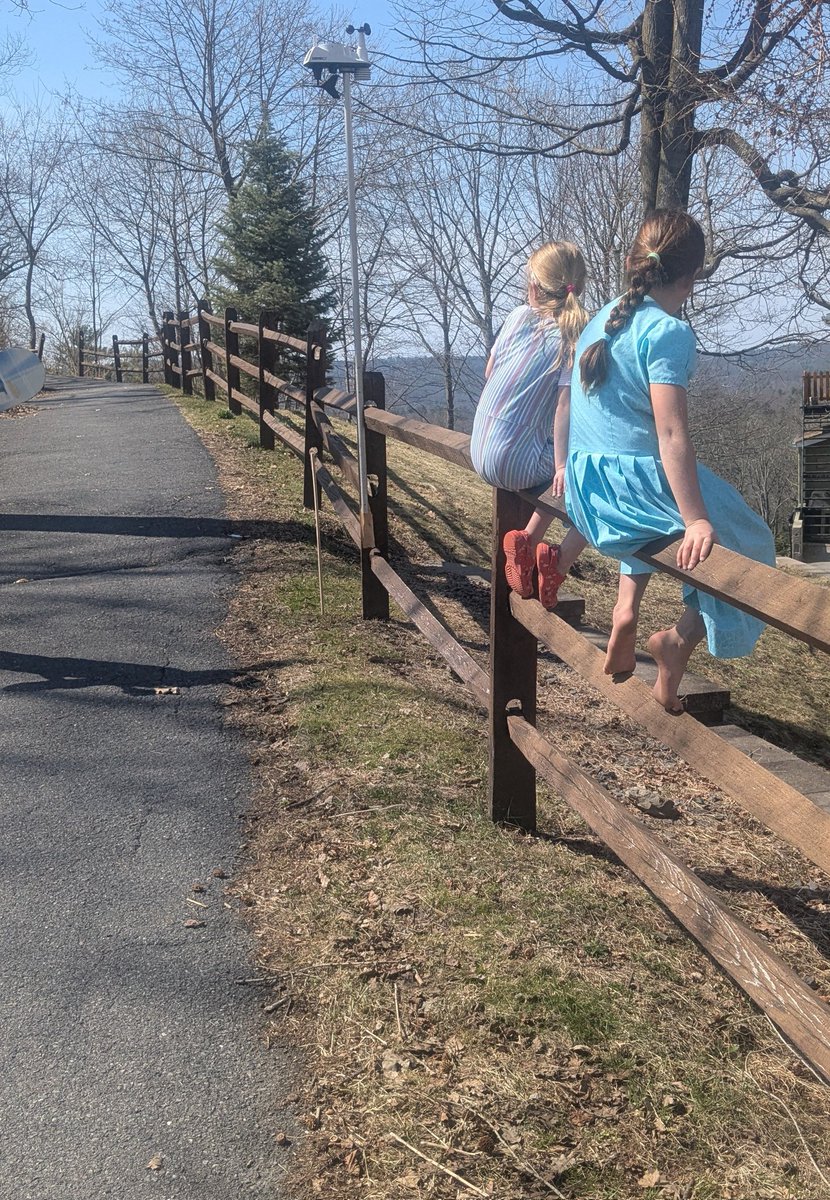 Marianne Wright tweet media