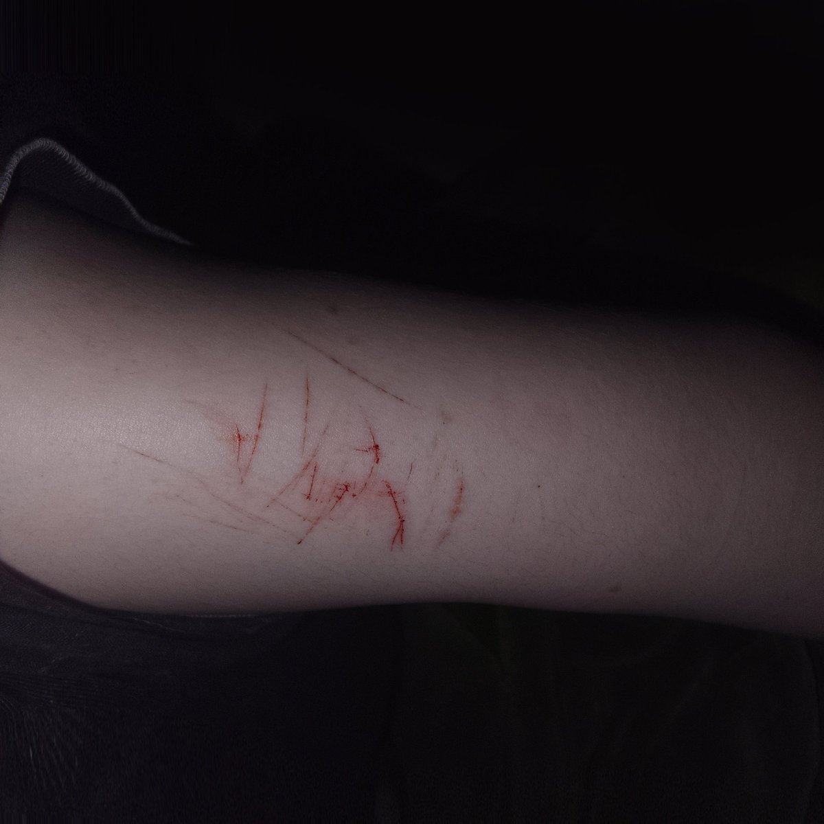 𓈒 𓏼🍀 ̣̣ ۟ Dr Simon Glass of SHEDTWT tweet media