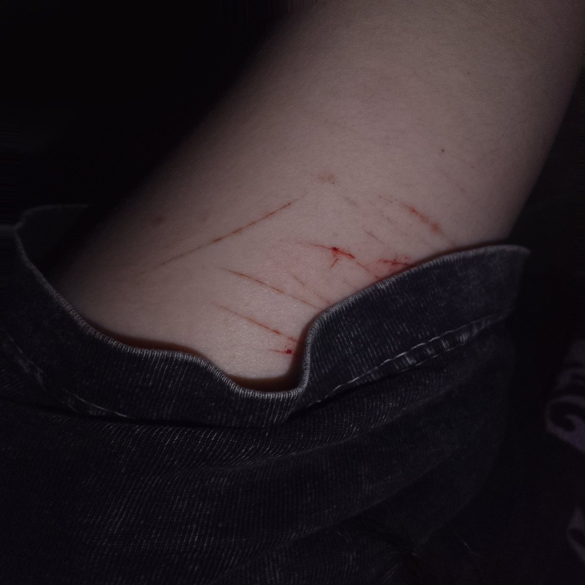 𓈒 𓏼🍀 ̣̣ ۟ Dr Simon Glass of SHEDTWT tweet media