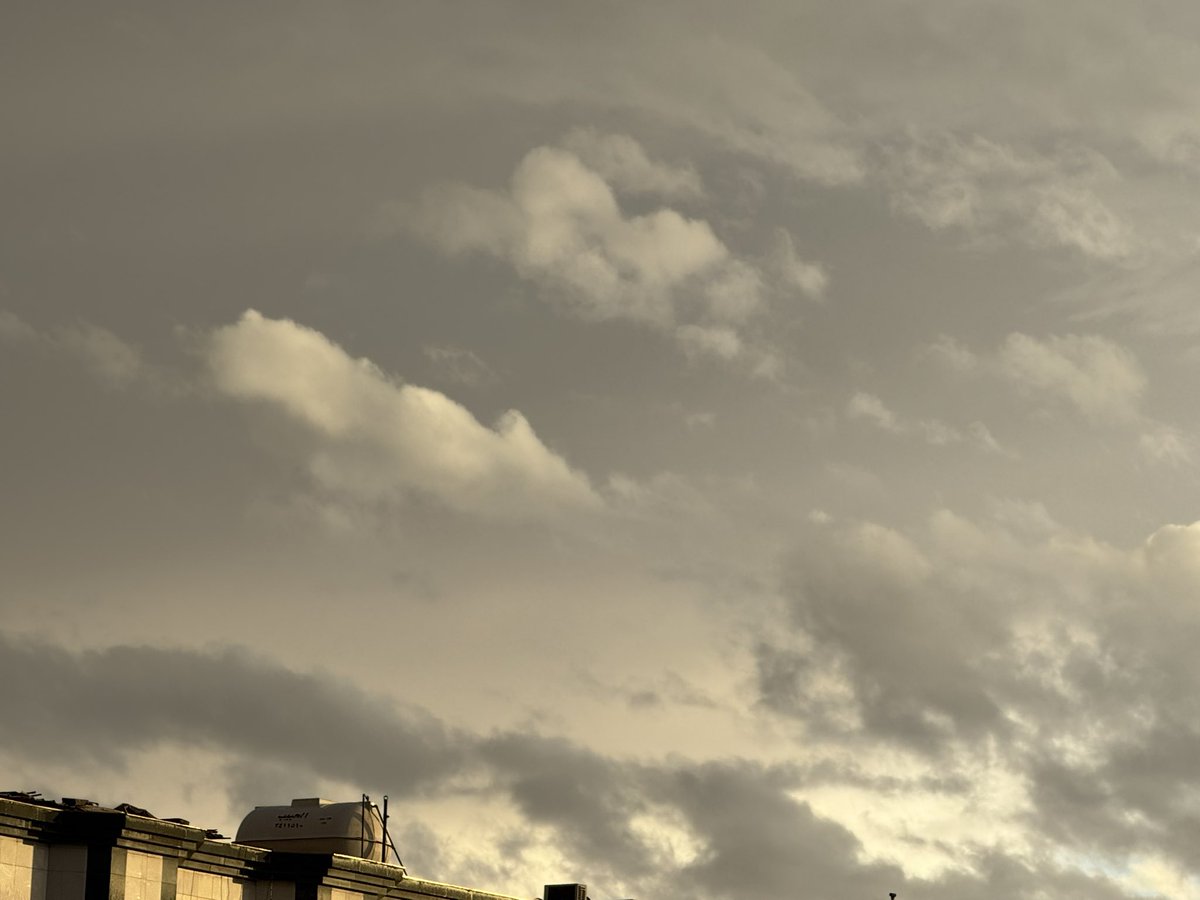 اللواء الملياردير✨ tweet media