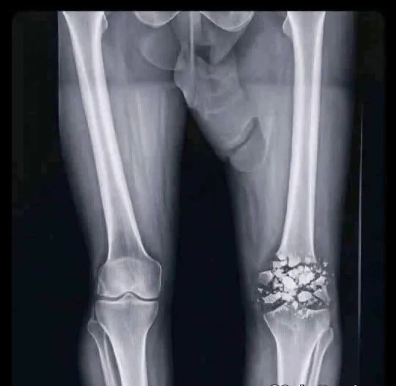 █▒ cybermonk tweet media