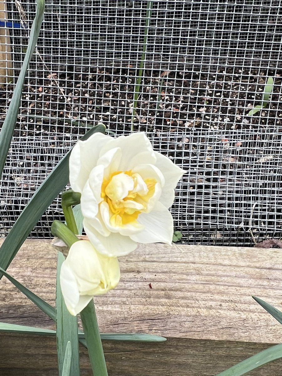 Sam Preston tweet media