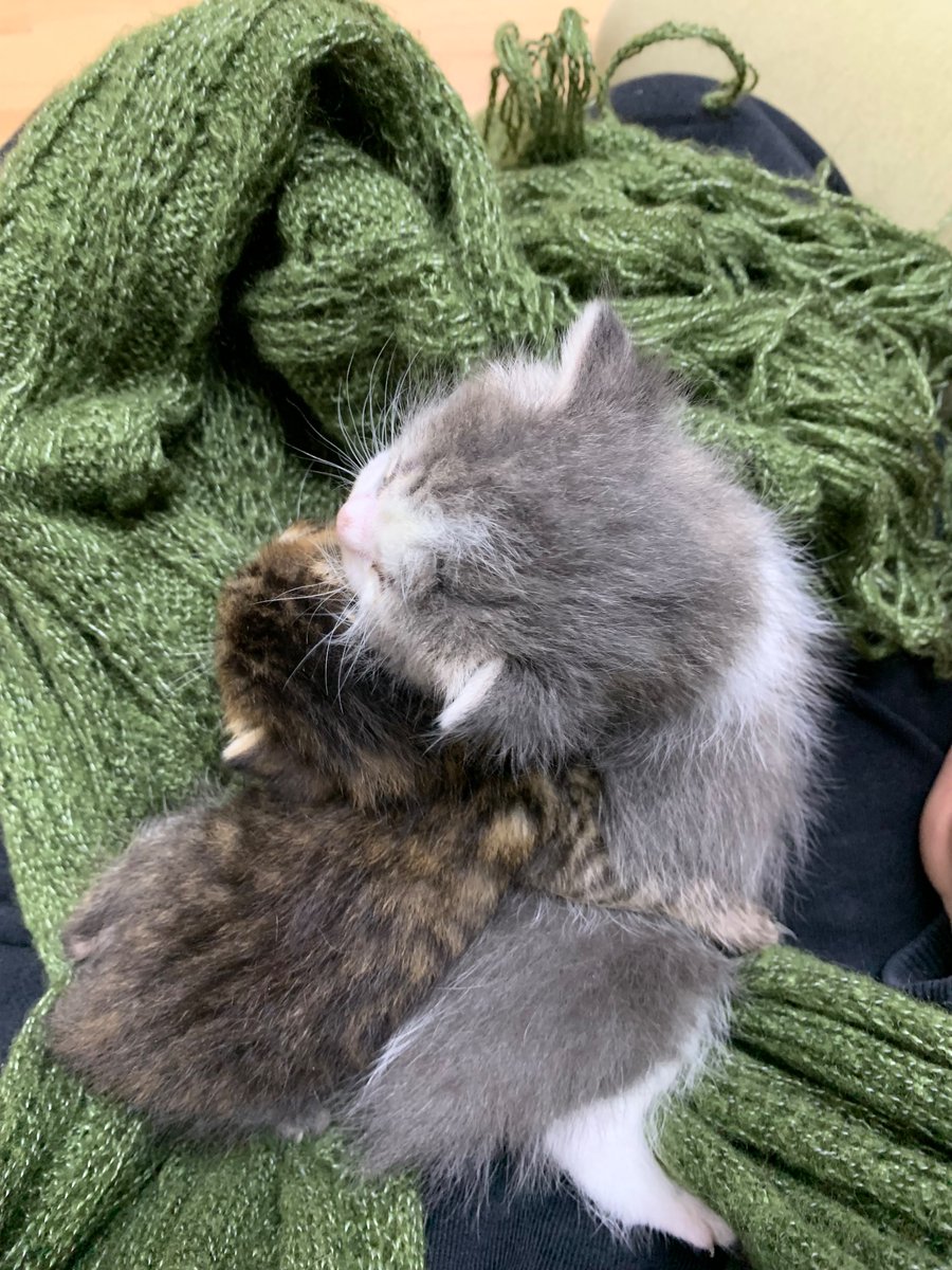 user661651 tweet media