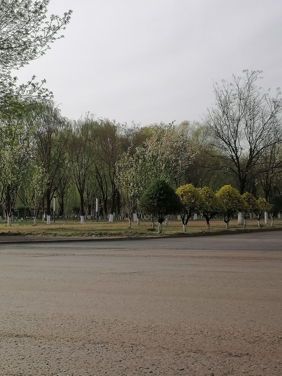 Brigitte Wallace tweet media