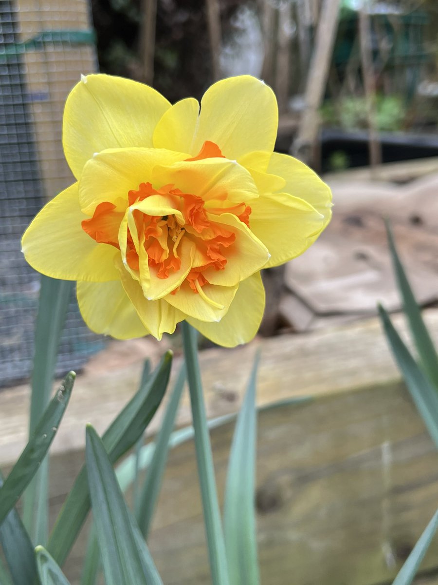 Sam Preston tweet media