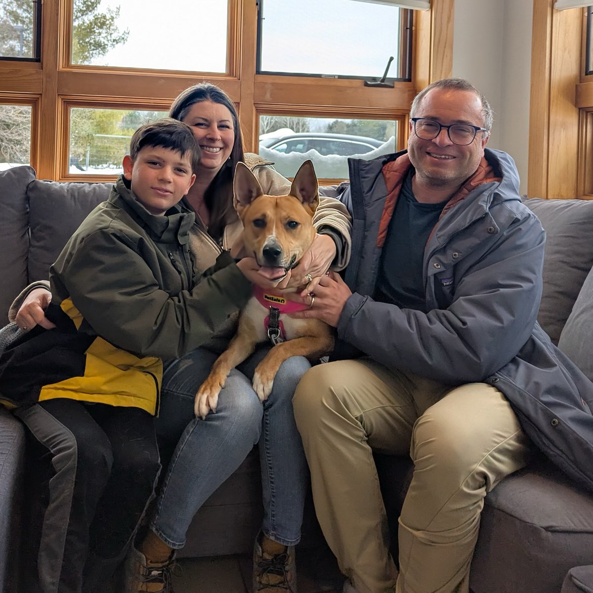 UpNorthLive News tweet media