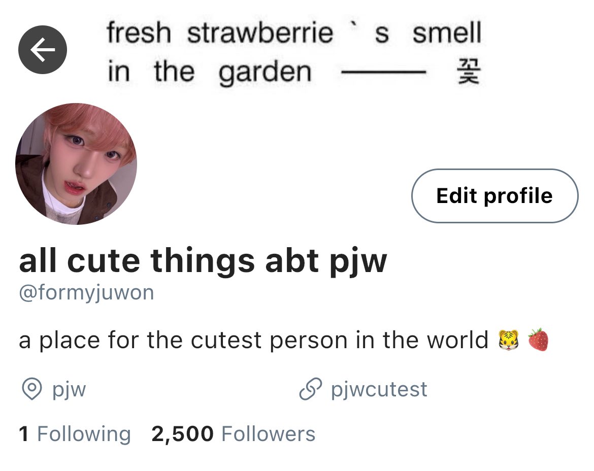 postcardbyafoha's tweet photo. a #chihwon au where ch is so gone for pjw that he starts a secret archive just to call him cute in every language known to man https://t.co/R0K4nQHlDS