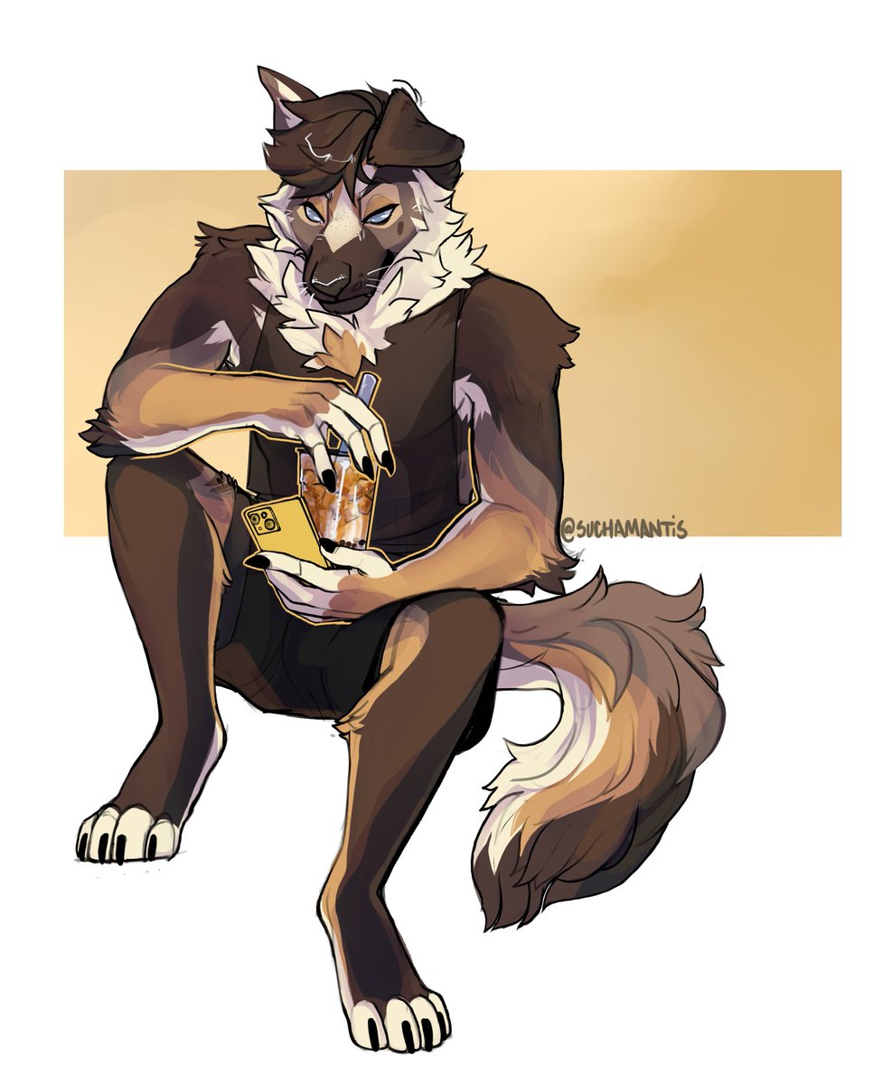 🌑 Mav 🌒 tweet media