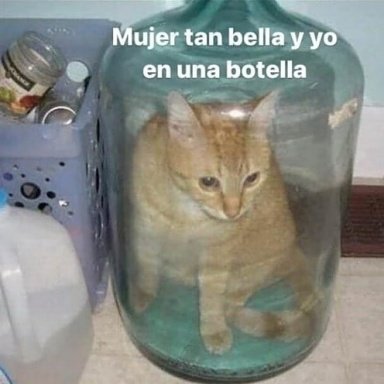 Pablo 🎸 tweet media