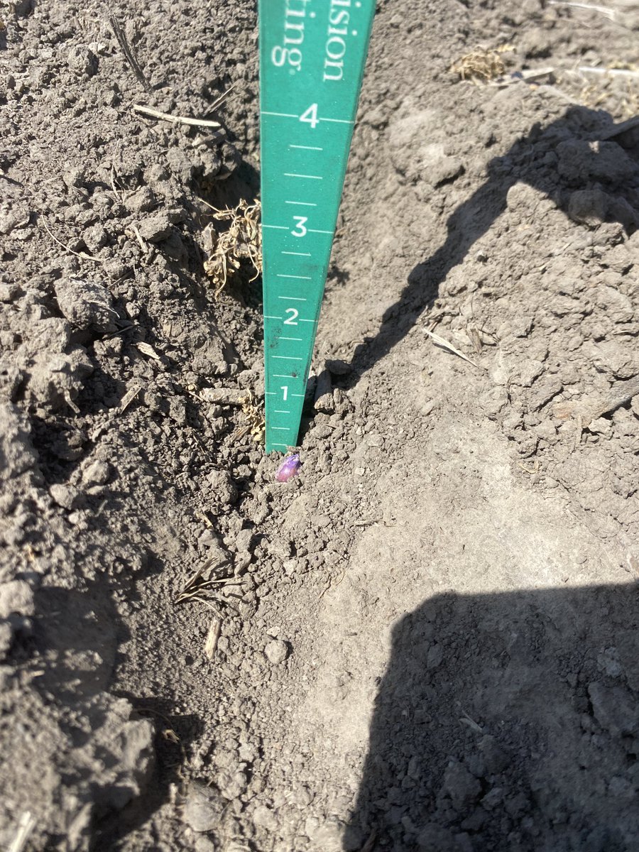 Zach Townsend tweet media