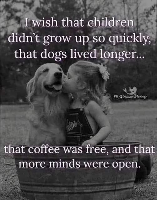 Windy101🇨🇦🇺🇸🇺🇦🐾🐾🐾 tweet media