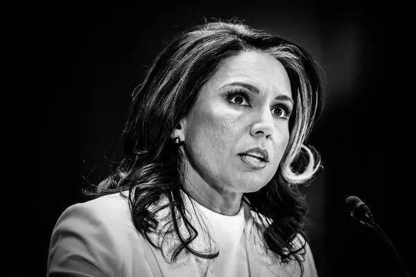 The Conservative Alternative tweet media