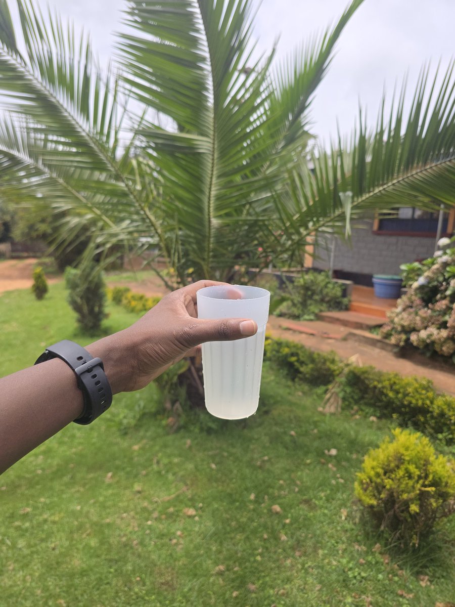 Mkale wa Jamaica tweet media