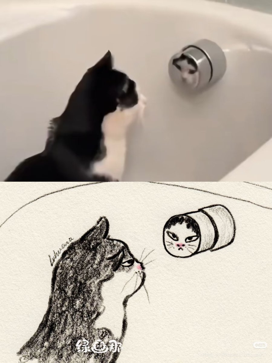 daily post tweet media