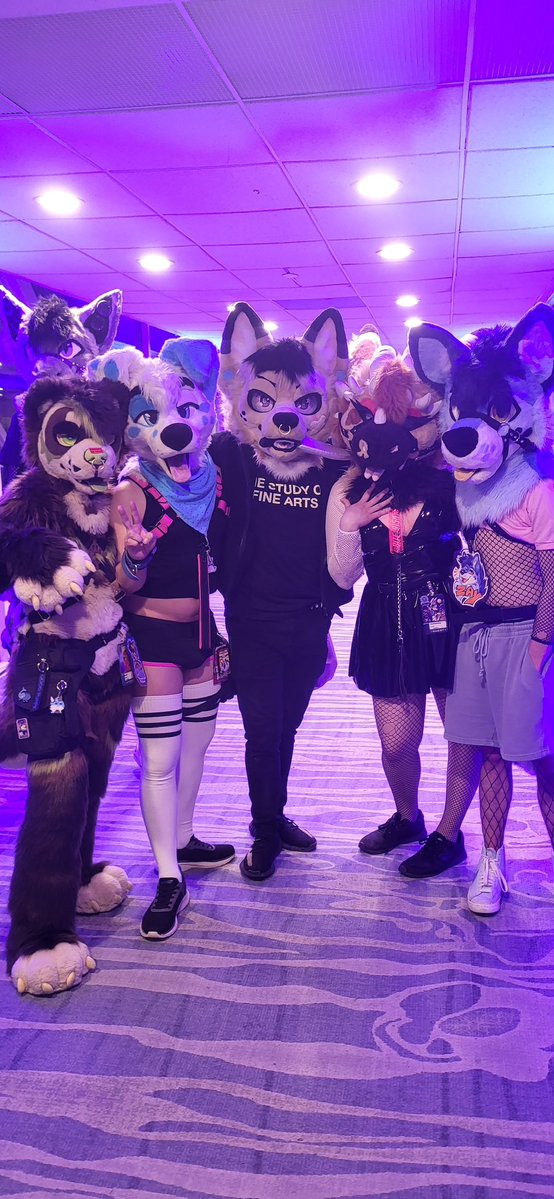 🍪 𝒦𝒪𝒪𝒦𝐼𝐸𝐸 🍪 tweet media