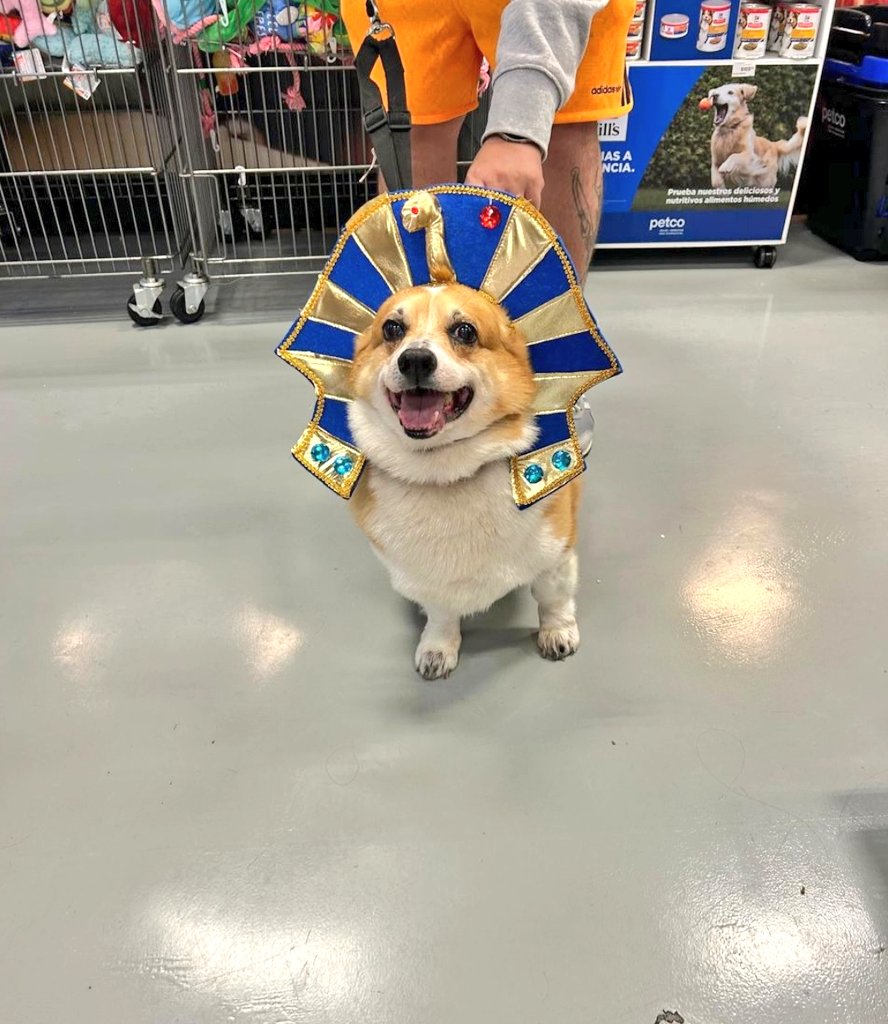 Os Moreno tweet media