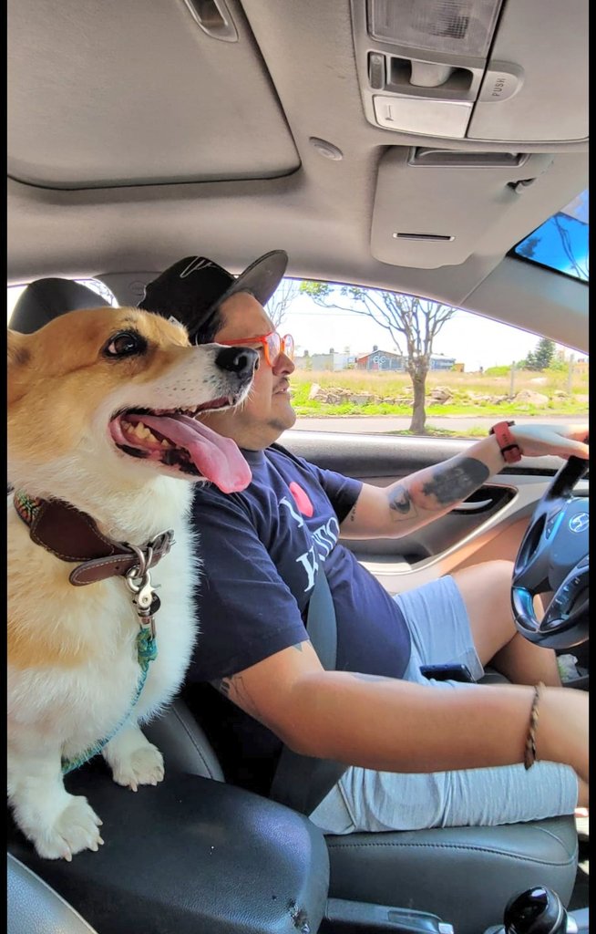 Os Moreno tweet media